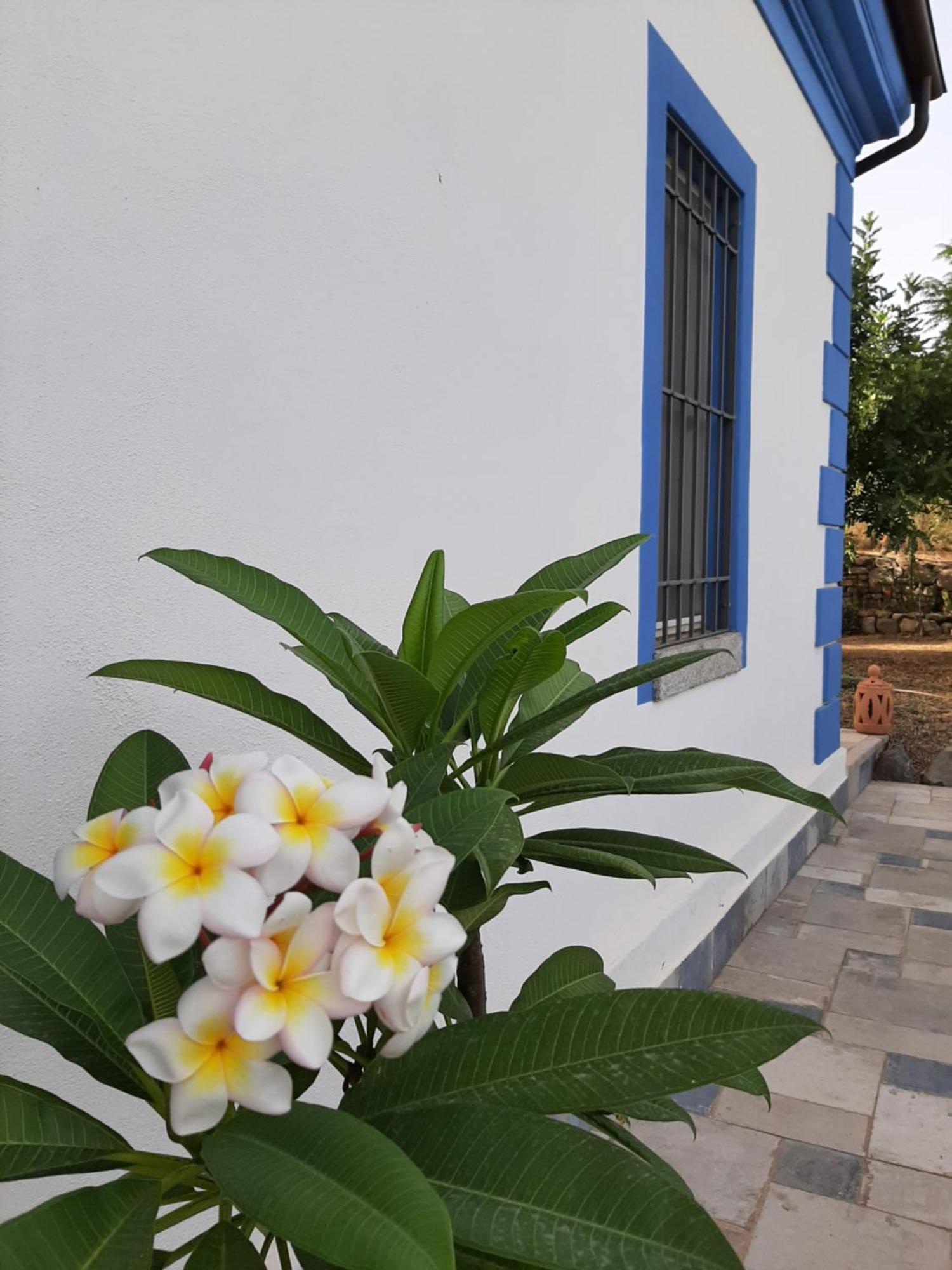 Casale Diletta Bed & Breakfast Castiadas Ngoại thất bức ảnh